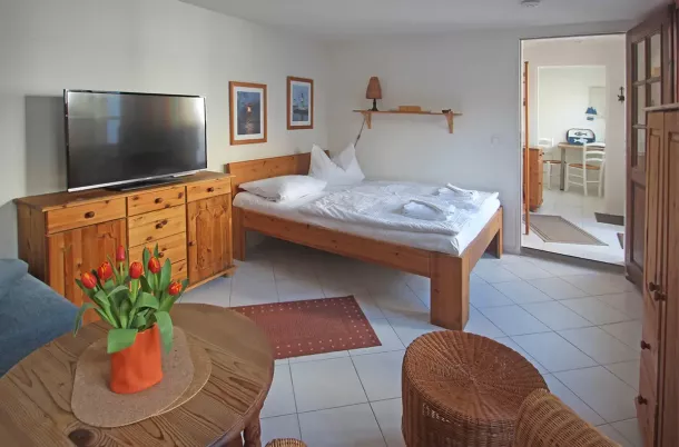 Schlaf- und Wohnbereich mit Doppelbett, Kommode und TV